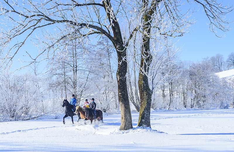 La tua vacanza in agriturismo